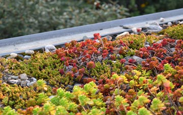 the cost of Alderley Edge green roof installation