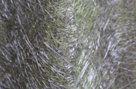 Alderley Edge fibreglass roof work